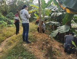 我馆与山东大学文化遗产研究院联合开展西樵山遗址出土细石器研究